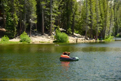 DSC_0005 (Large).JPG